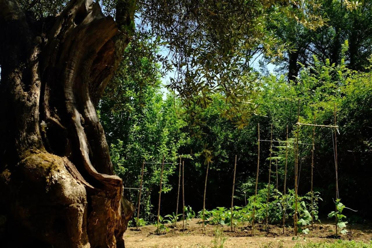 Villa Boukari Chlomos ภายนอก รูปภาพ